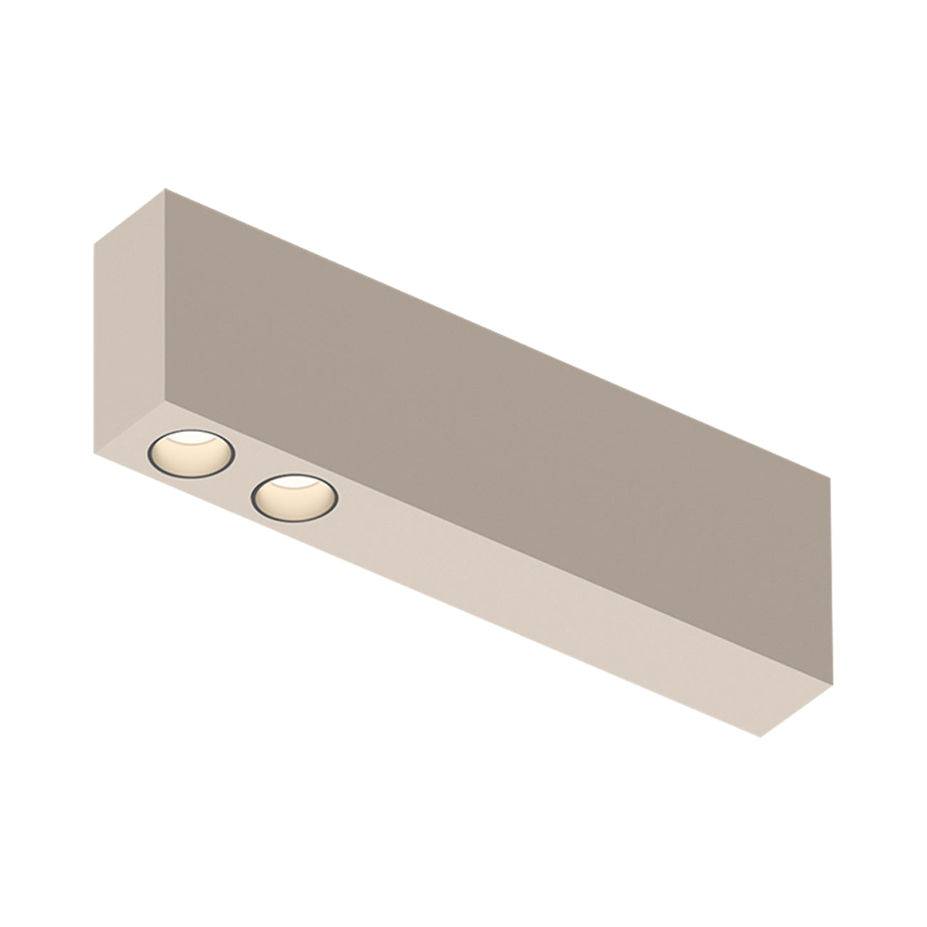 Offset LED Downlight Flush Mount Ceiling Light in Beige M1 (2-Light).