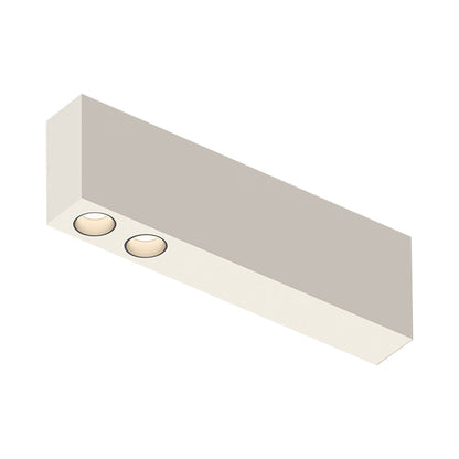 Offset LED Downlight Flush Mount Ceiling Light in Warm White (2-Light).