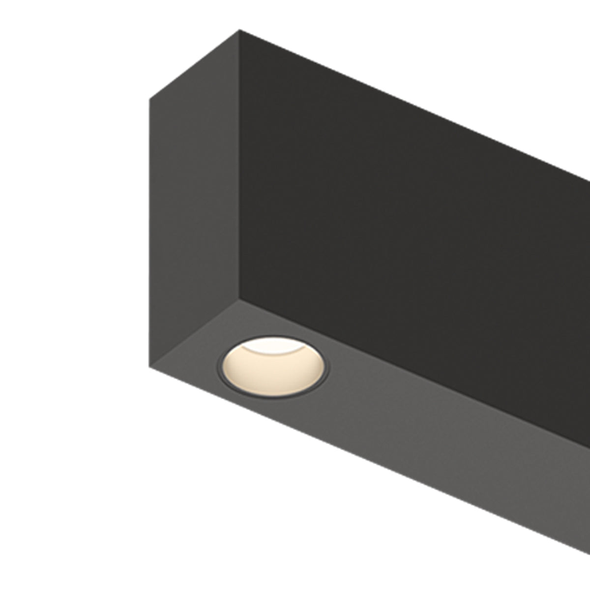 Offset LED Downlight Flush Mount Ceiling Light in Detail.