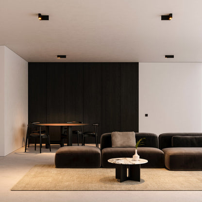 Offset LED Downlight Flush Mount Ceiling Light in Detail.