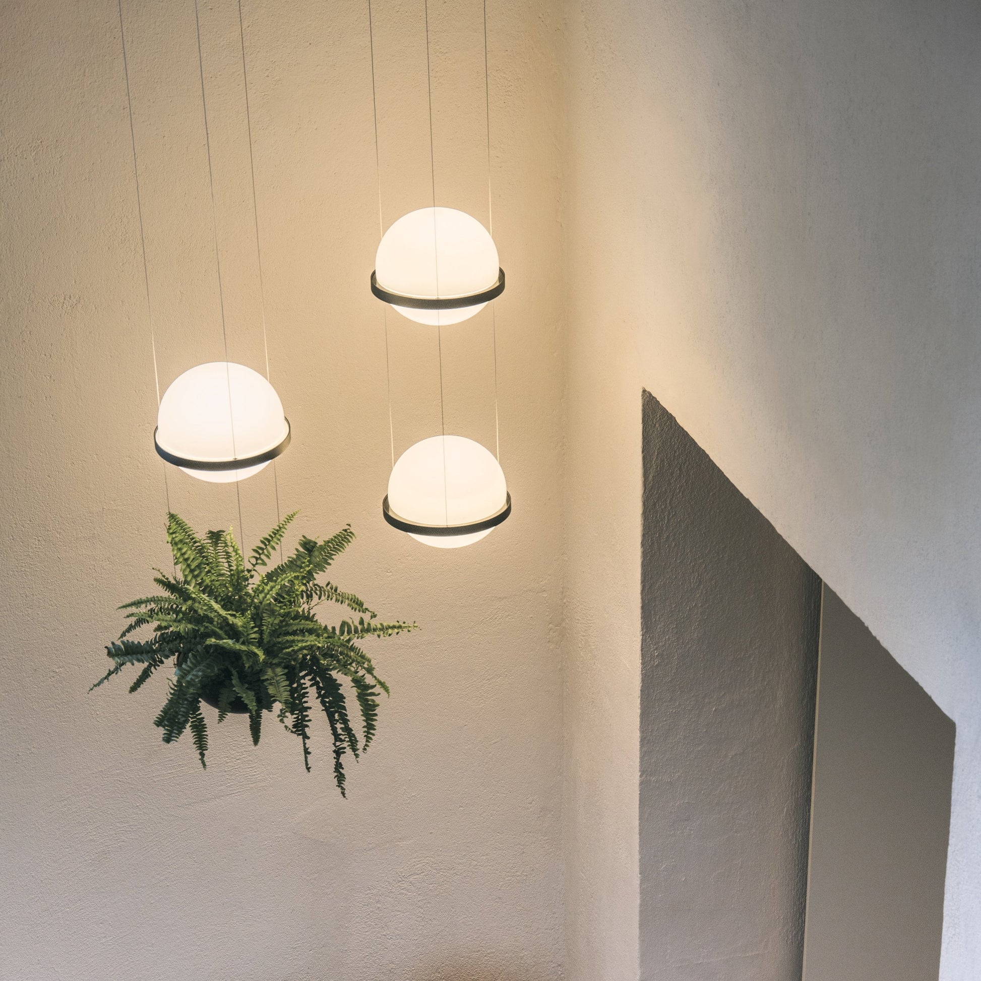 hanging light with planter Palma Planter LED Pendant Light – City Lights SF