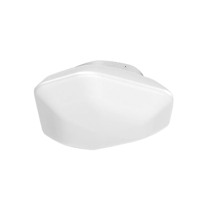 Modulor LED Ceiling / Wall Light (13.5-Inch).
