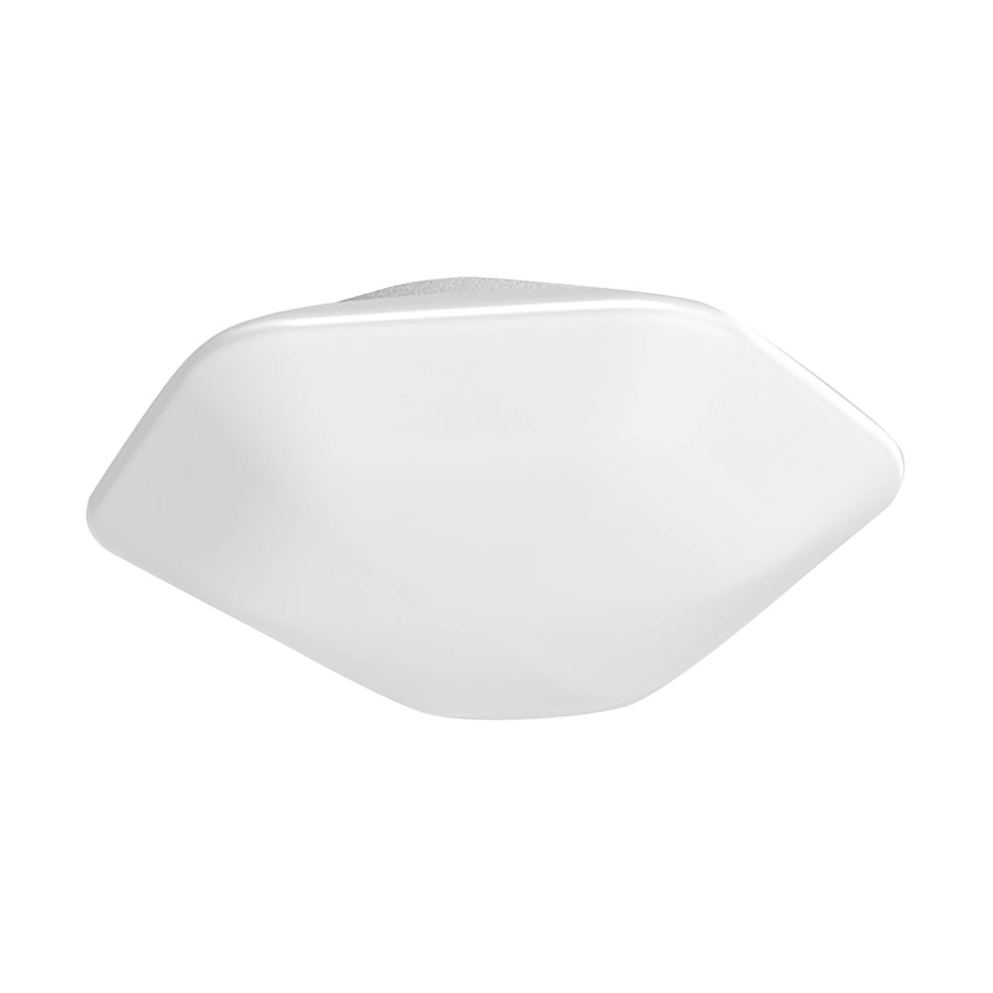 Modulor LED Ceiling / Wall Light (18-Inch).