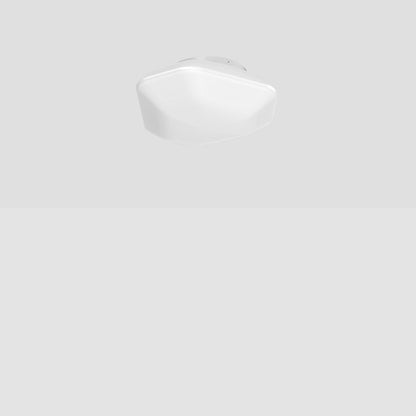Modulor LED Ceiling / Wall Light in Detail.