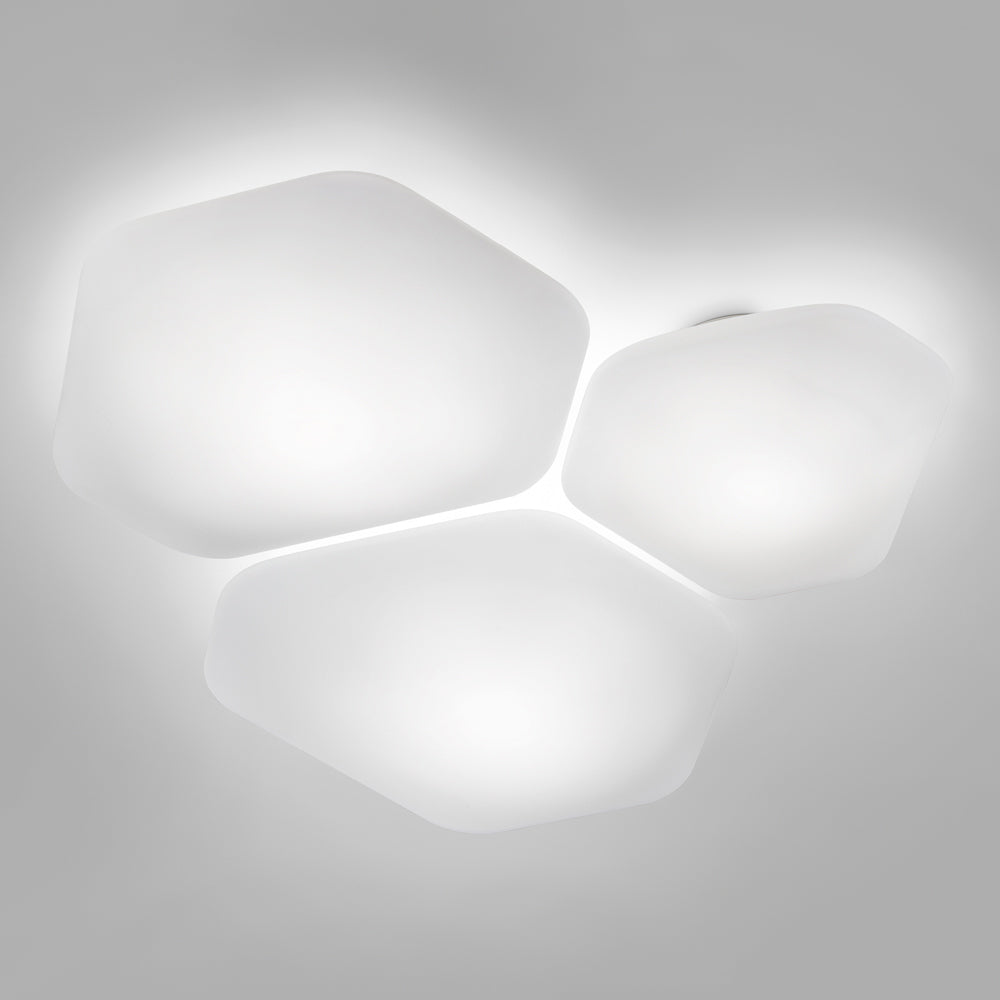 Modulor LED Ceiling / Wall Light in Detail.