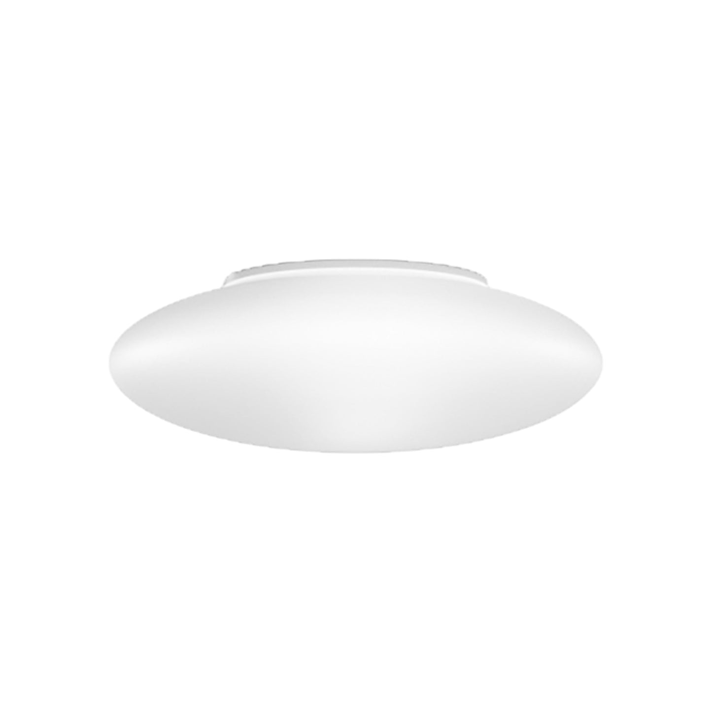 Saba LED Ceiling / Wall Light (12-Inch).