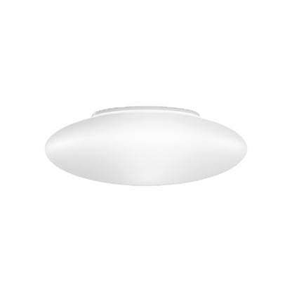 Saba LED Ceiling / Wall Light (12-Inch).