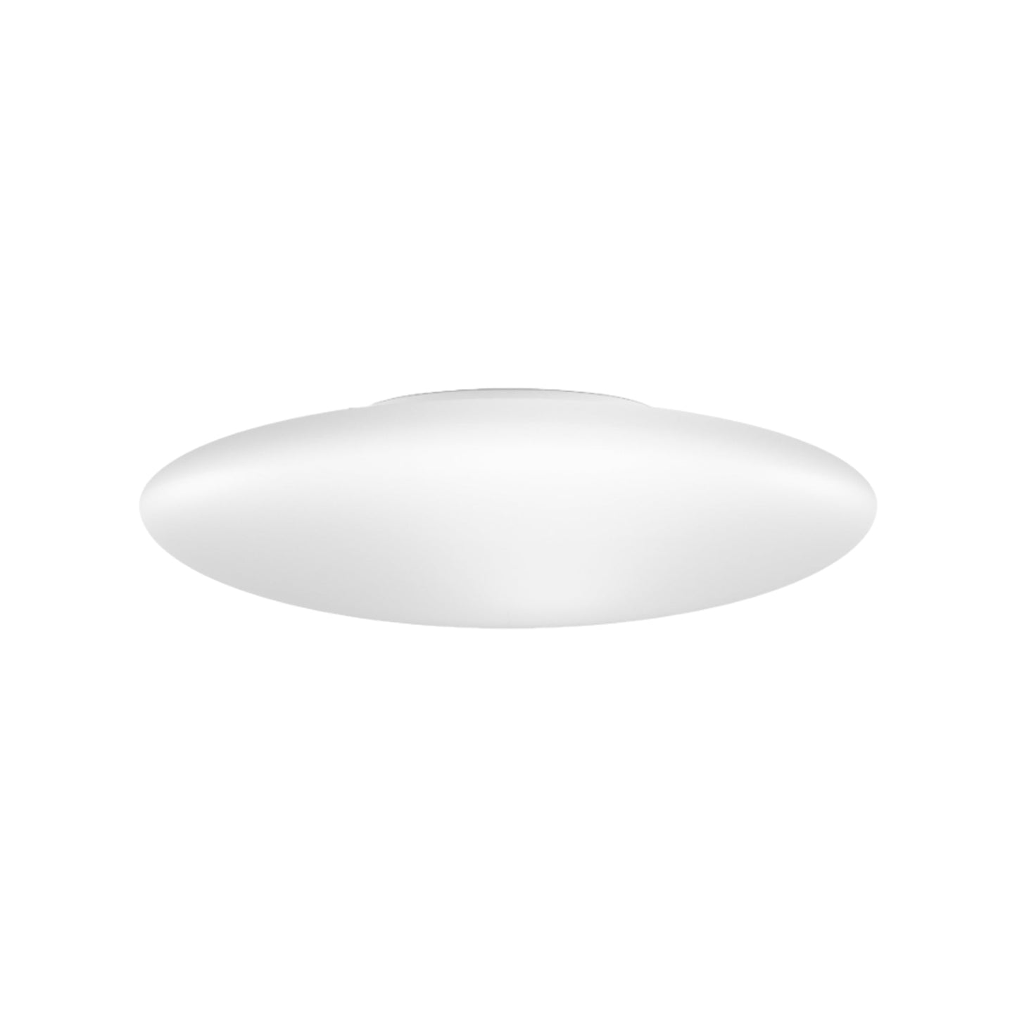 Saba LED Ceiling / Wall Light (16-Inch).