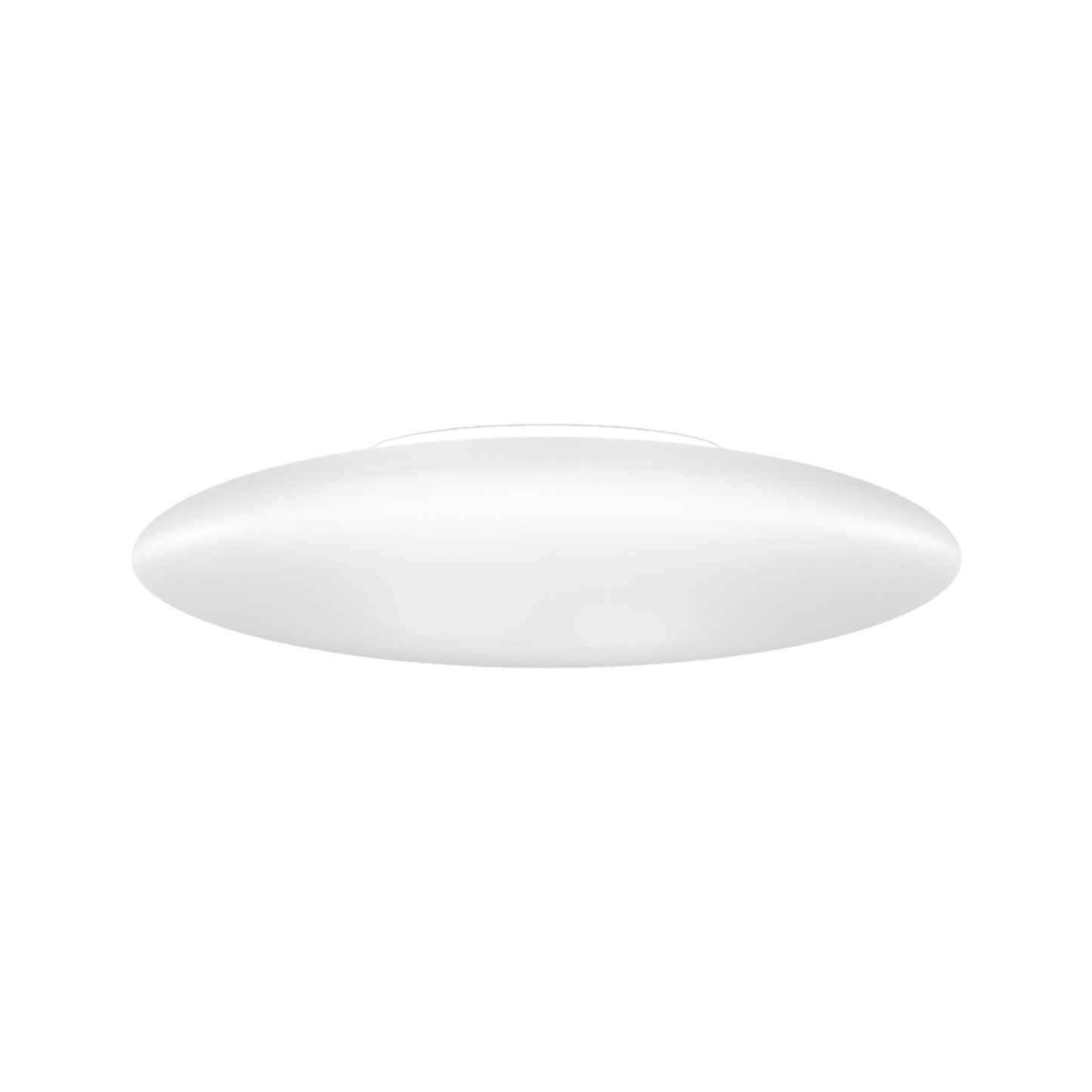 Saba LED Ceiling / Wall Light (20-Inch).