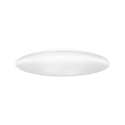 Saba LED Ceiling / Wall Light (20-Inch).