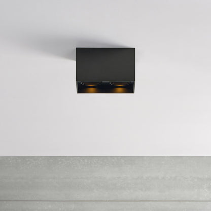 Exo LED Dual Flush Mount Ceiling Light in living room.