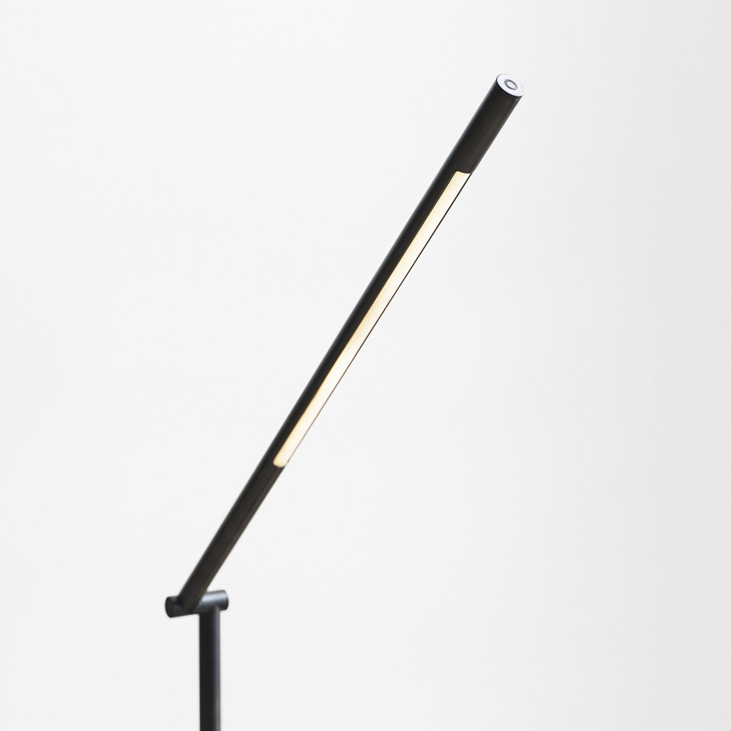 Cona LED Floor Lamp in Detail.