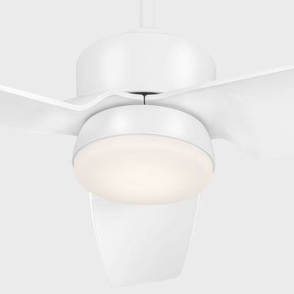 Colgin Outdoor LED Ceiling Fan in Detail.