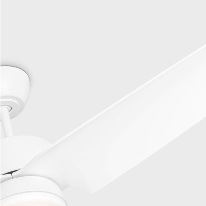 Colgin Outdoor LED Ceiling Fan in Detail.