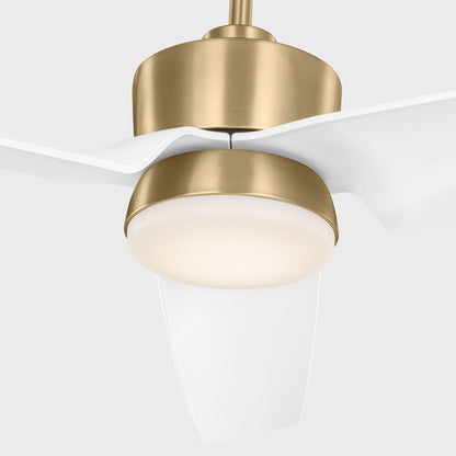 Colgin Outdoor LED Ceiling Fan in Detail.