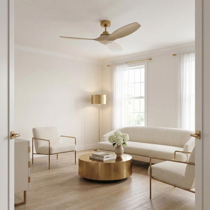 Collins Outdoor Ceiling Fan in living room.