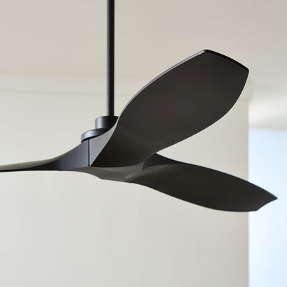 Collins Coastal Outdoor Ceiling Fan in Detail.