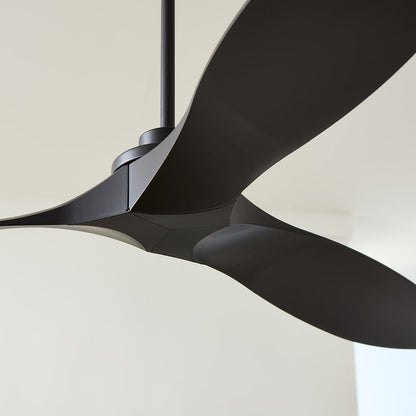 Collins Coastal Outdoor Ceiling Fan in Detail.