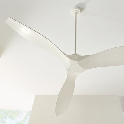 Collins Coastal Outdoor Ceiling Fan in Detail.