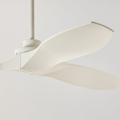 Collins Coastal Outdoor Ceiling Fan in Detail.