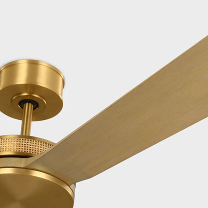 Elara Smart LED Ceiling Fan in Detail.
