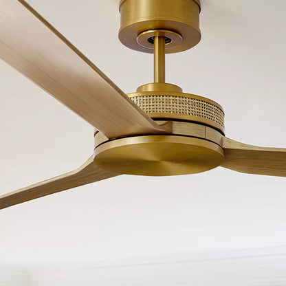 Elara Smart LED Ceiling Fan in Detail.