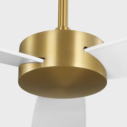 Paddle Smart Outdoor Ceiling Fan in Detail.