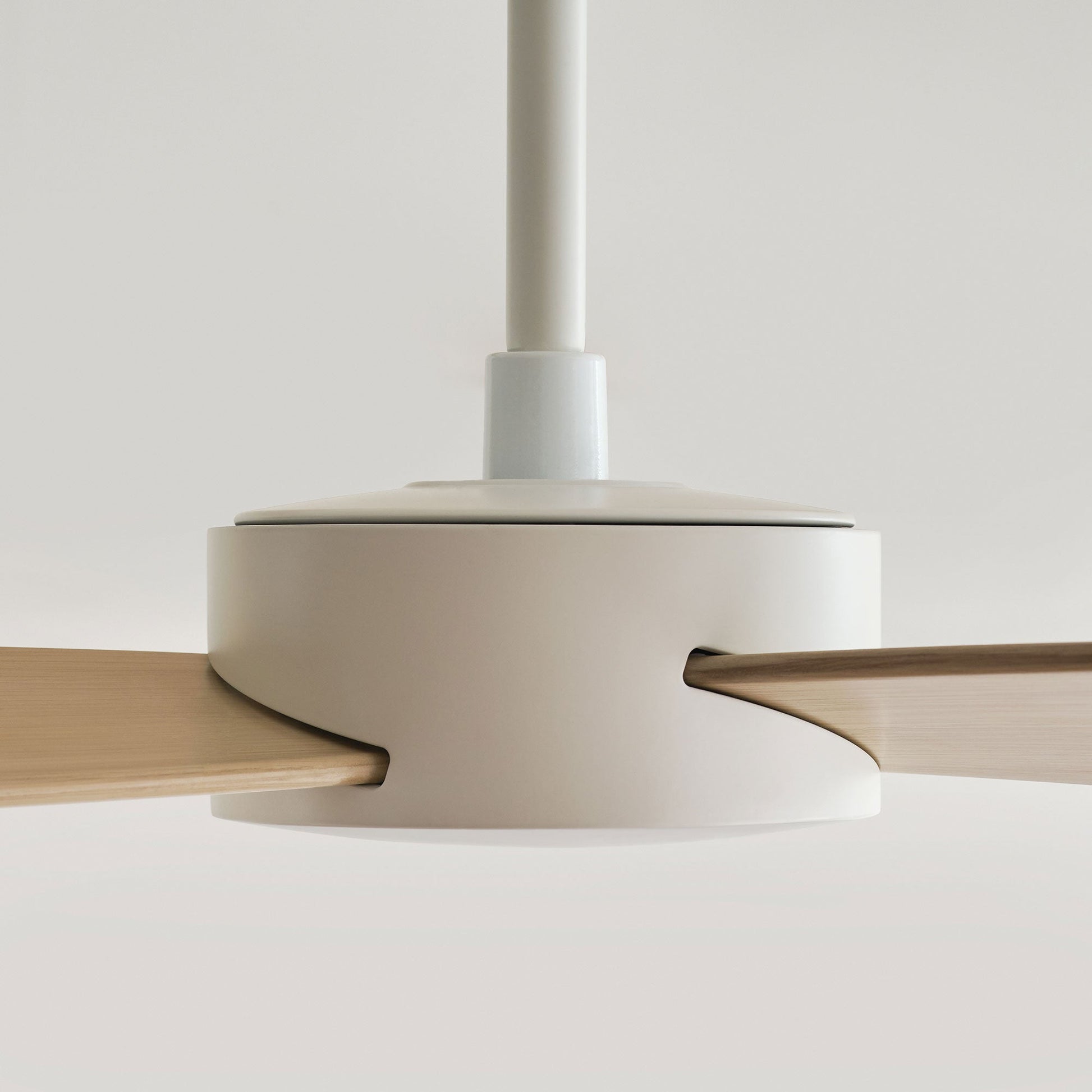 Paddle Smart Outdoor Ceiling Fan in Detail.