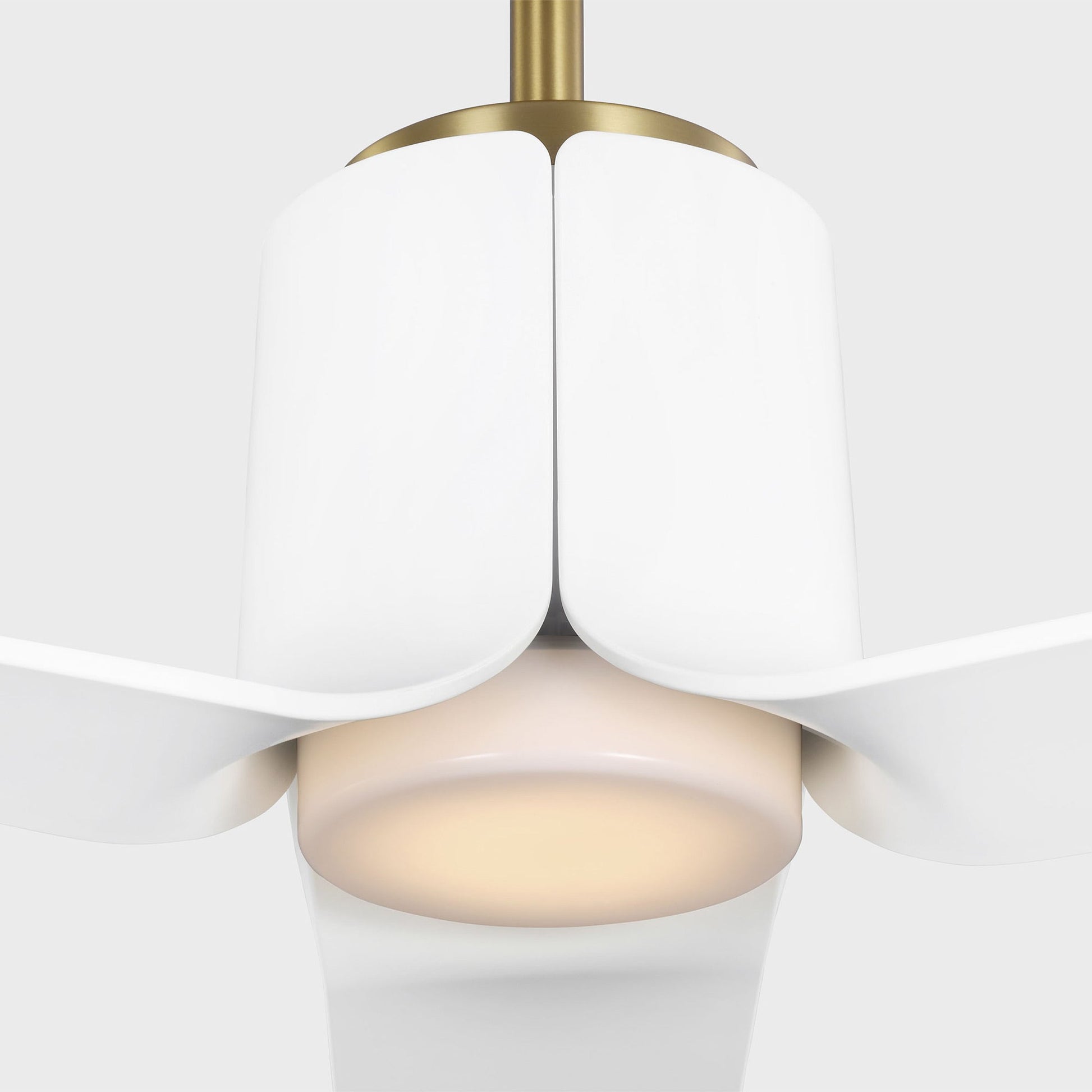 Peel Smart Outdoor LED Ceiling Fan in Detail.