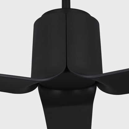 Peel Smart Outdoor LED Ceiling Fan in Detail.