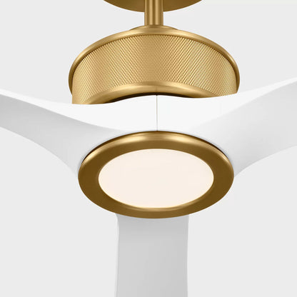 Reese Smart LED Ceiling Fan in Detail.