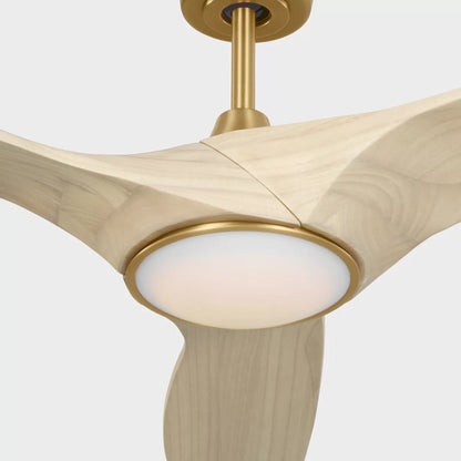 Selen Smart LED Ceiling Fan in Detail.