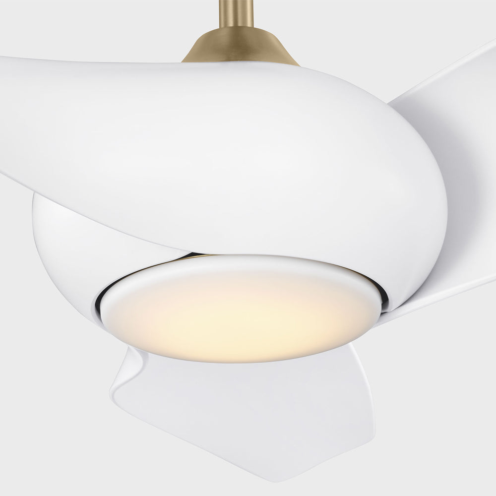 Topan Smart Outdoor LED Ceiling Fan in Detail.