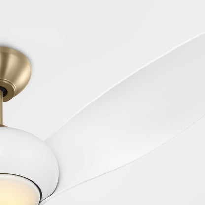 Topan Smart Outdoor LED Ceiling Fan in Detail.