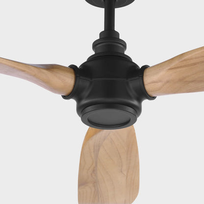 Valiant Smart Outdoor Ceiling Fan in Detail.