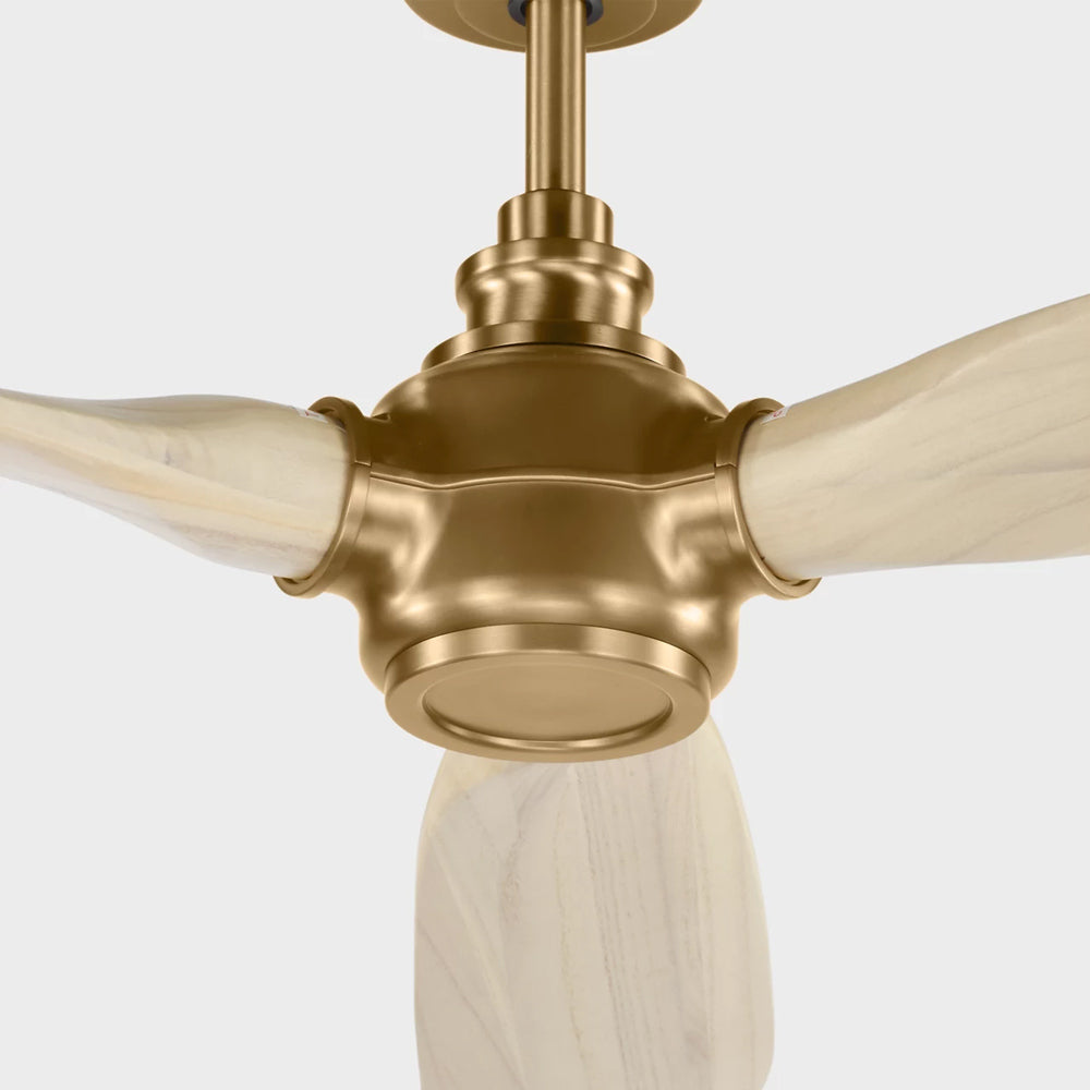 Valiant Smart Outdoor Ceiling Fan in Detail.