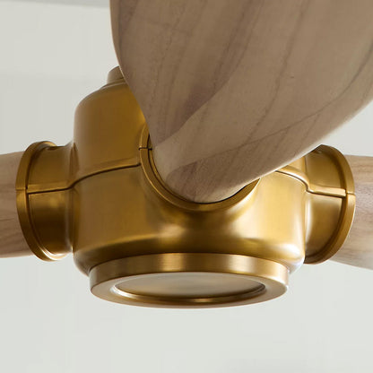 Valiant Smart Outdoor Ceiling Fan in Detail.