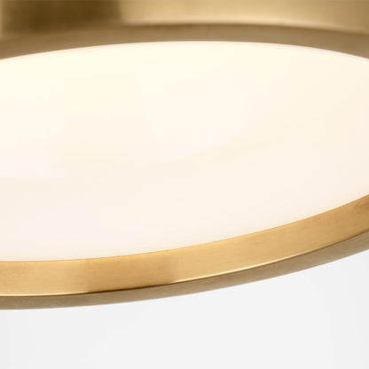 Dola LED Flush Mount Ceiling Light in Detail.