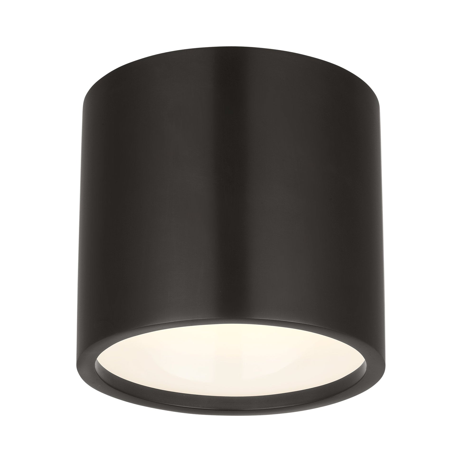 Dola LED Flush Mount Ceiling Light in Detail.