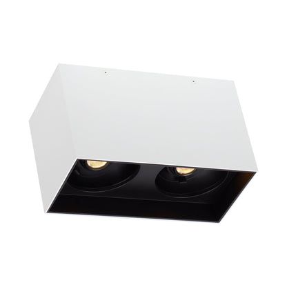 Exo LED Dual Flush Mount Ceiling Light in Matte White/Black.