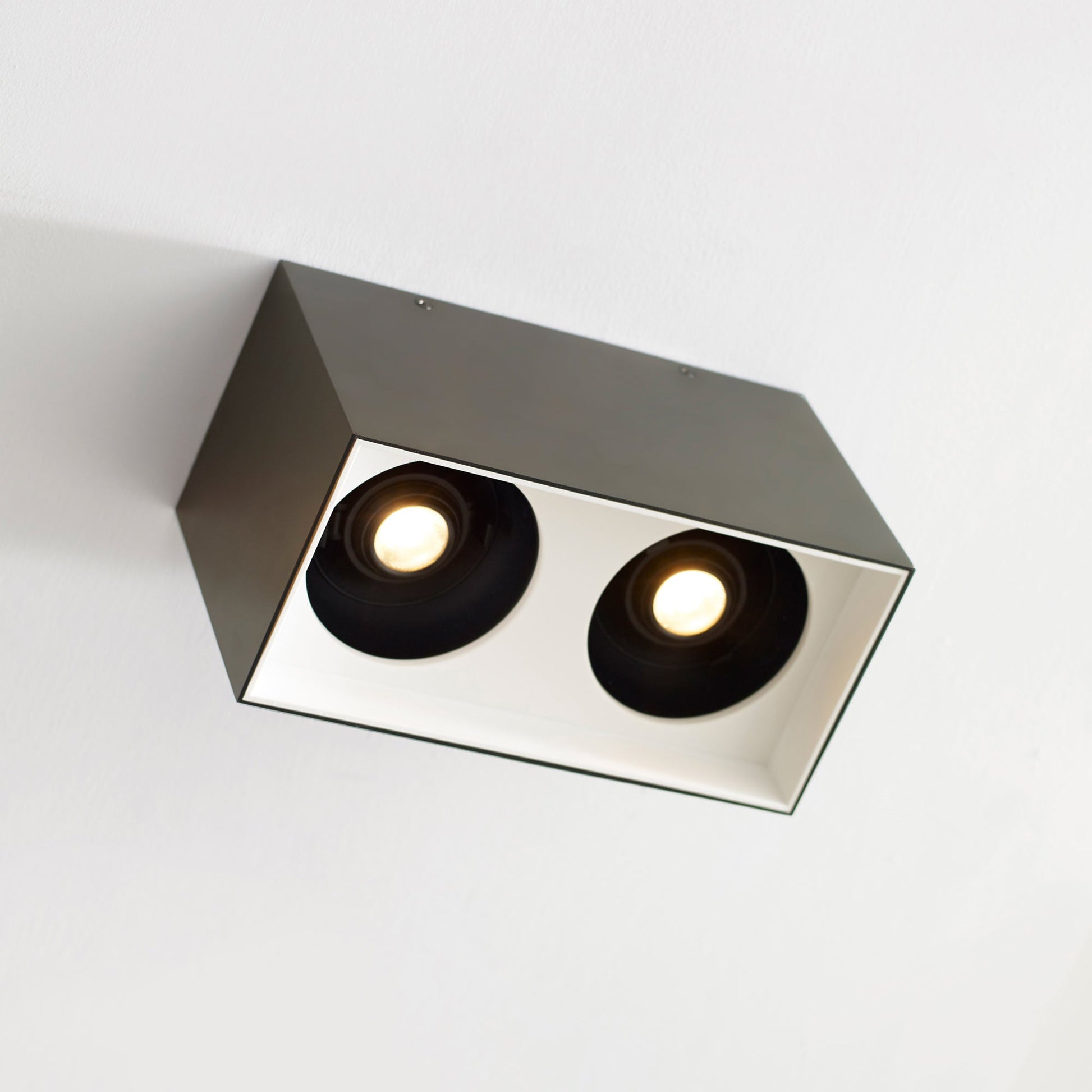 Exo LED Dual Flush Mount Ceiling Light in Detail.