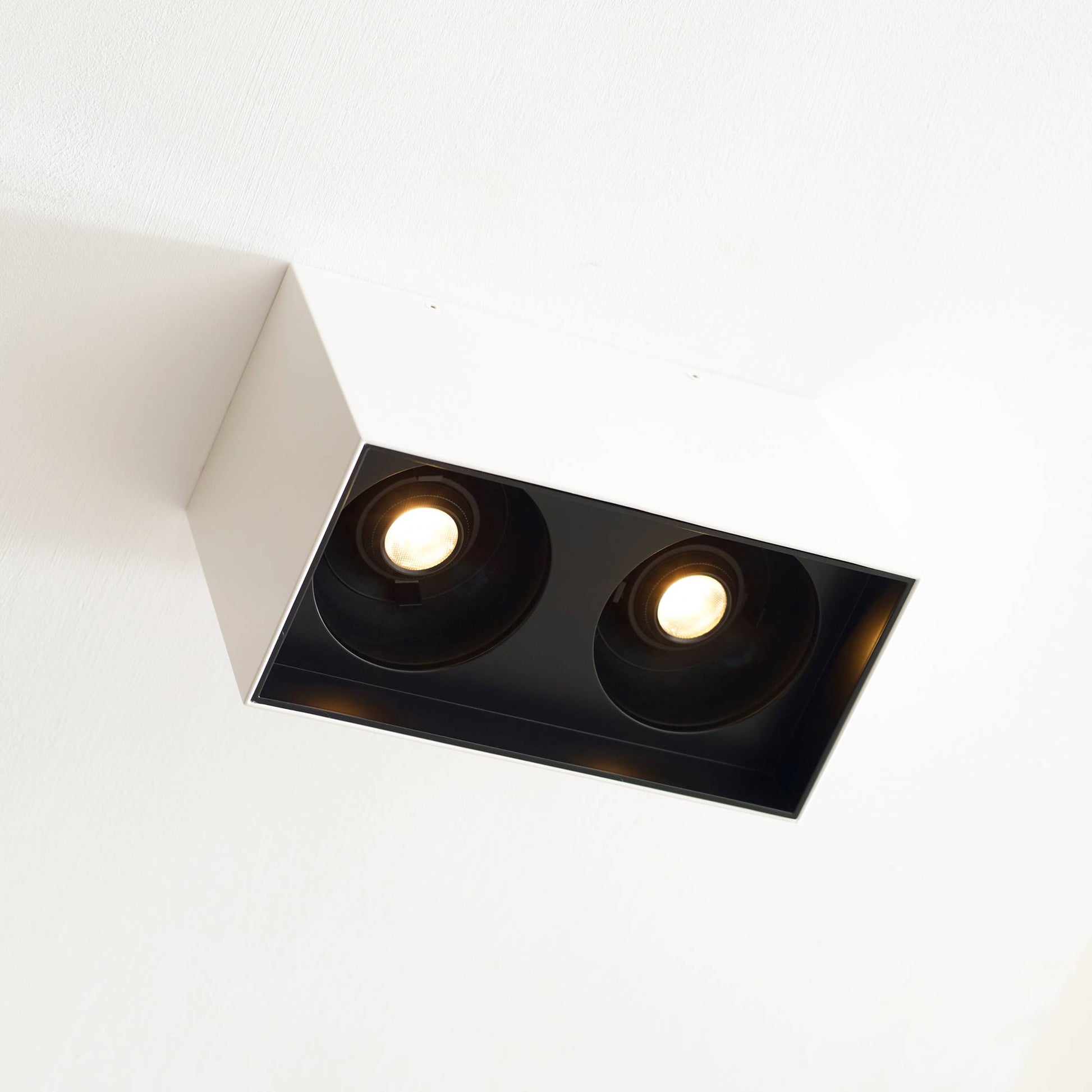 Exo LED Dual Flush Mount Ceiling Light in Detail.