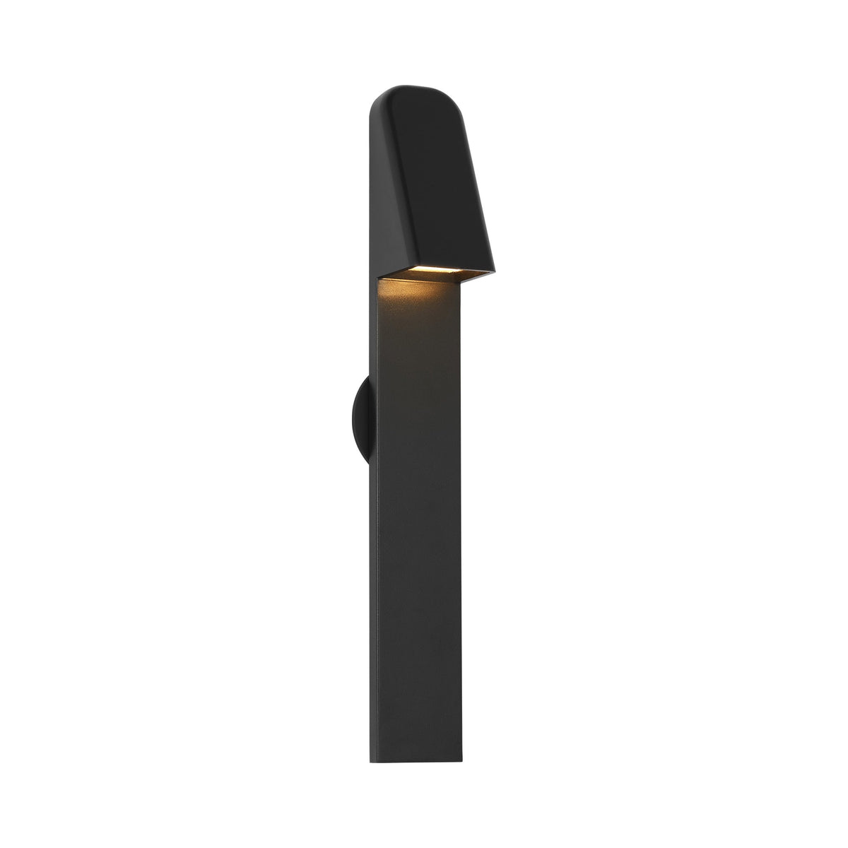 Froler Outdoor LED Wall Light in Outdoor Black (17-Inch).