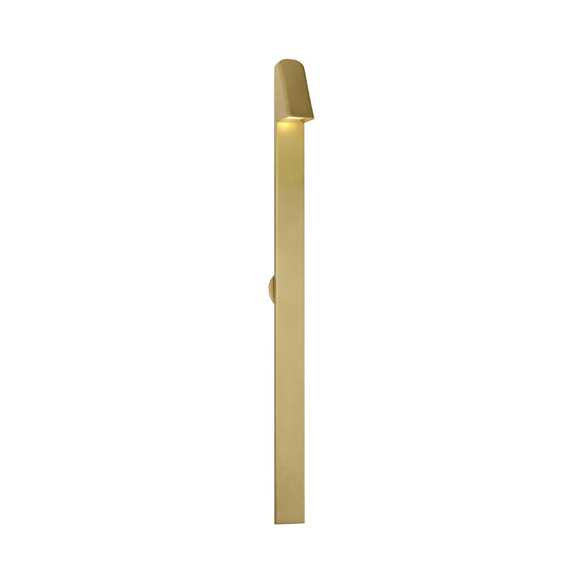Froler Outdoor LED Wall Light in Hand-Rubbed Antique Brass (36-Inch).