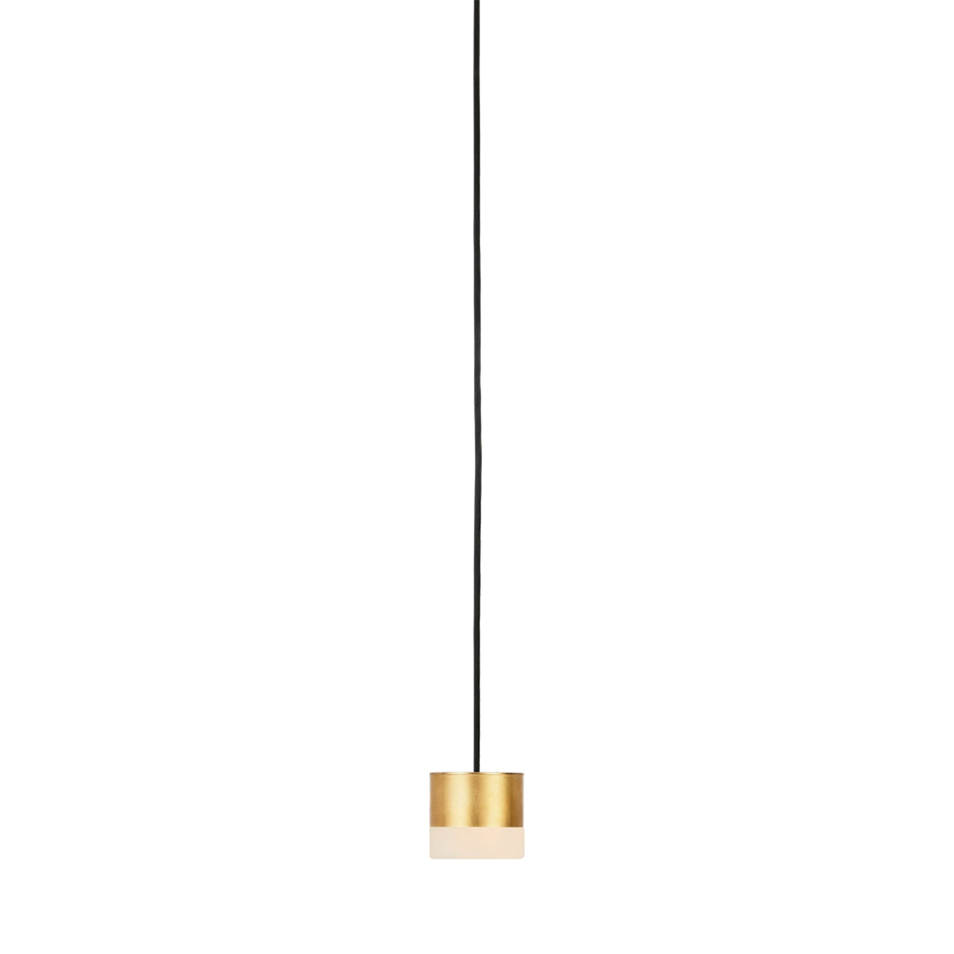Gable Port Alone LED Pendant Light in Detail.