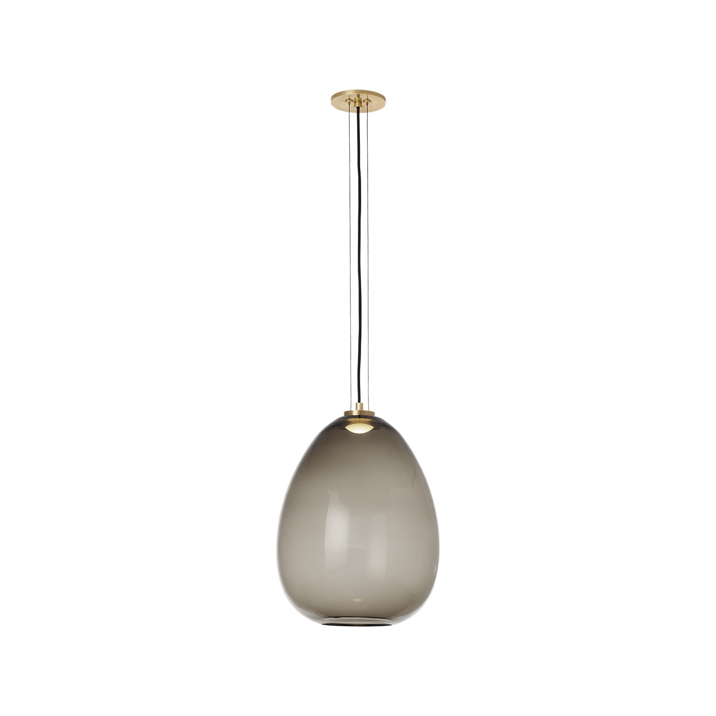 Kapoor LED Pendant Light in Transparent Smoke/Natural Brass (Medium).