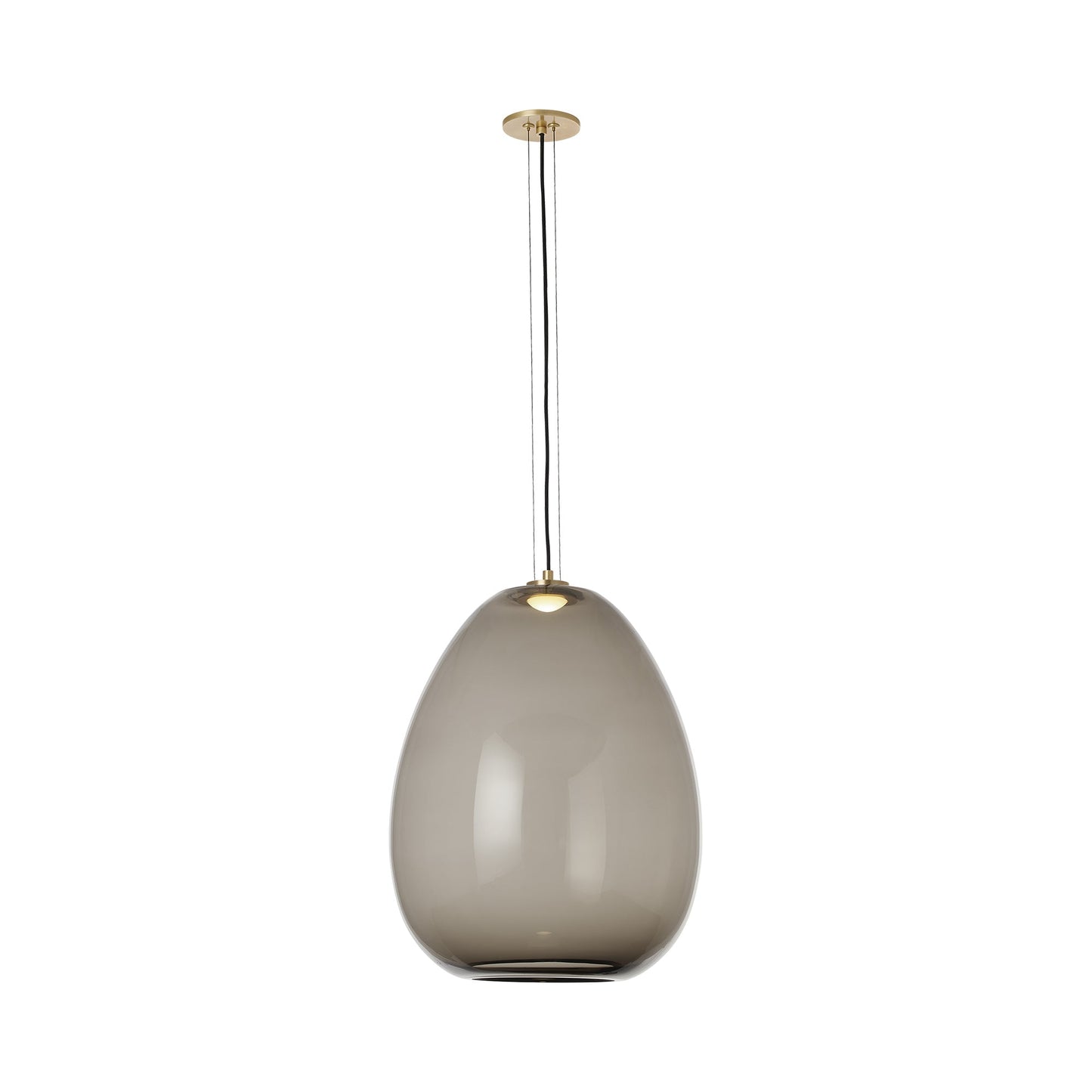 Kapoor LED Pendant Light in Transparent Smoke/Natural Brass (Large).