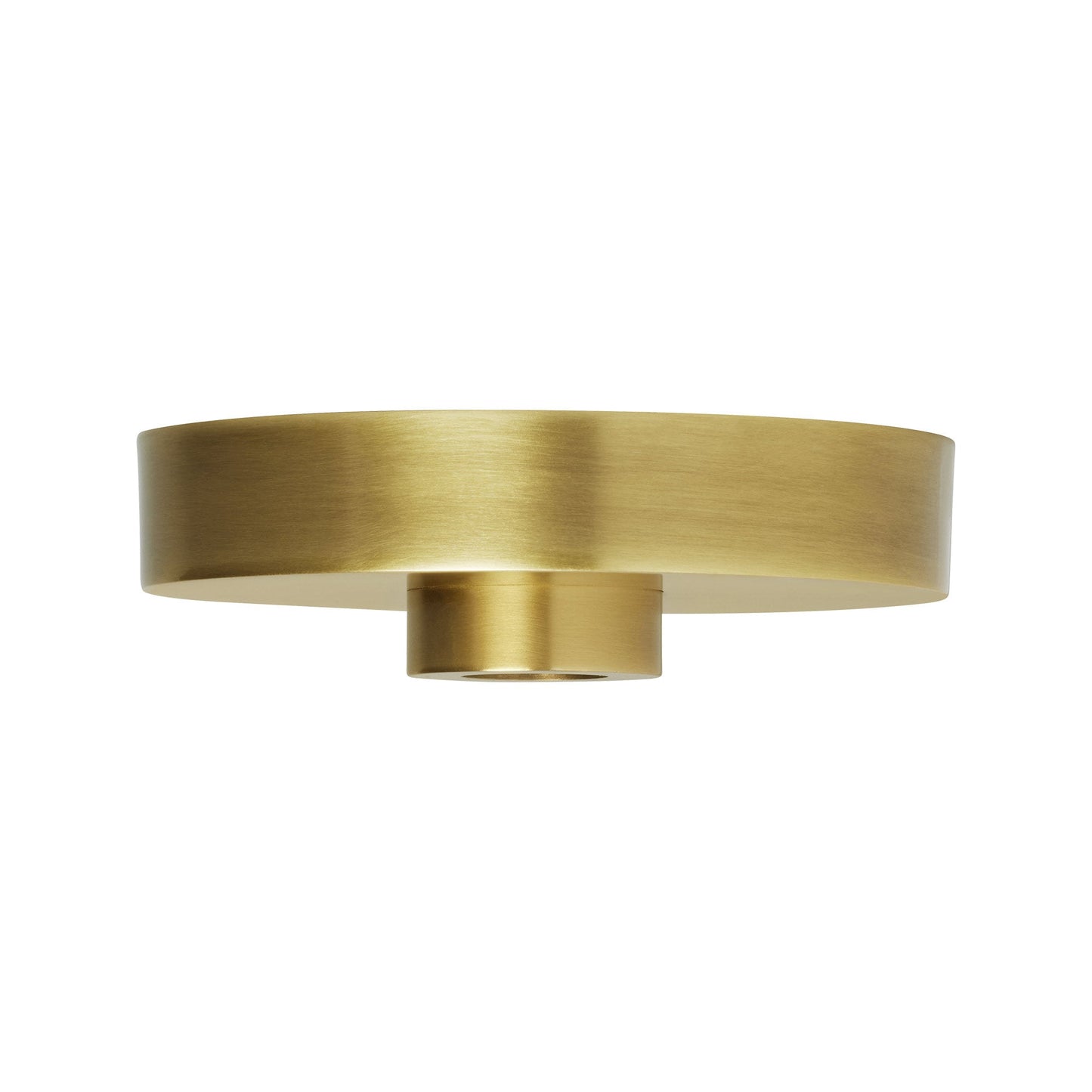 Line-Voltage Shallow Canopy in Natural Brass (5-Inch).