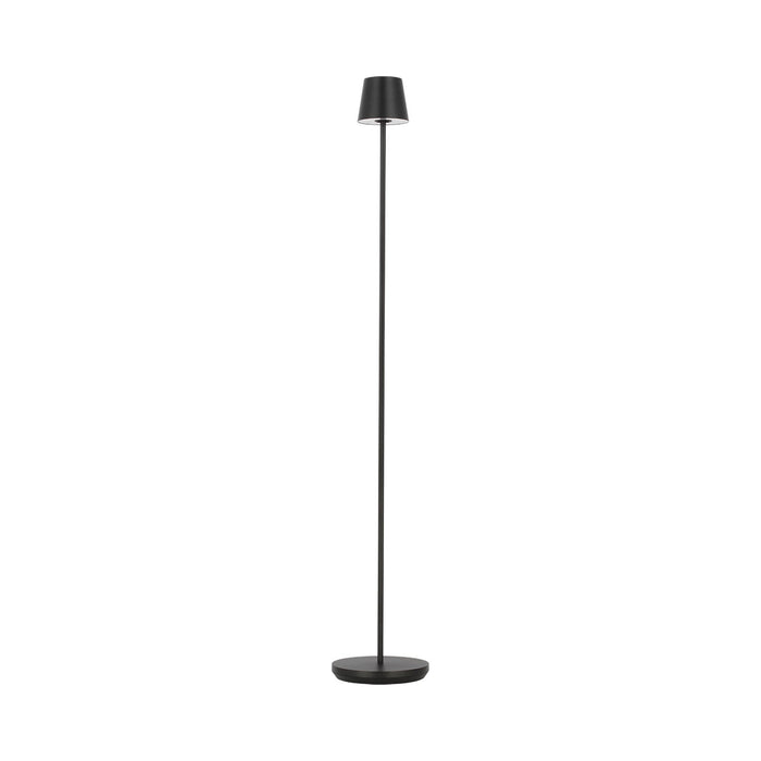 Nevis LED Floor Lamp in Black.