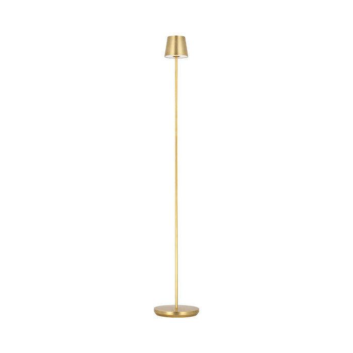 Nevis LED Floor Lamp in Hand Rubbed Antique Brass.